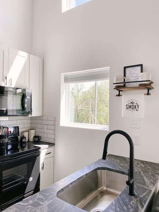 דירות פיג'ן פורג' Modern Smoky Mountain Tiny House מראה חיצוני תמונה